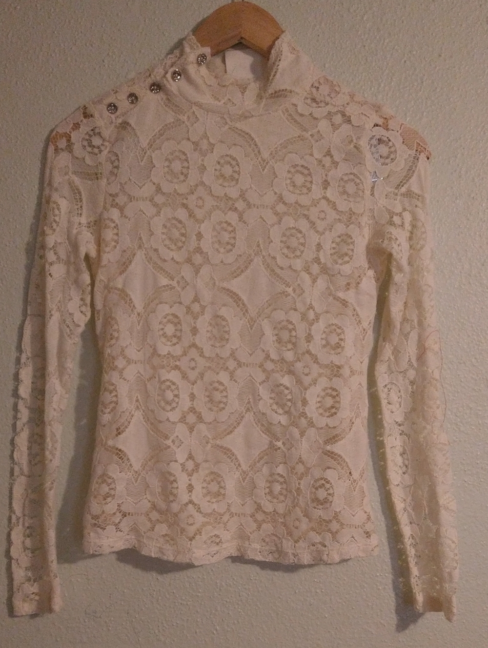 Maeve Lace Lace Mock Neck Long Sleeve Top